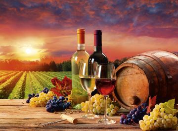 Captainalbatross ''Wine Yard'' 1000 Parça Puzzle H-UV yüksek kalite baskı.